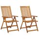 Rozkładane krzesła ogrodowe, 2 szt., lite drewno akacjowe
